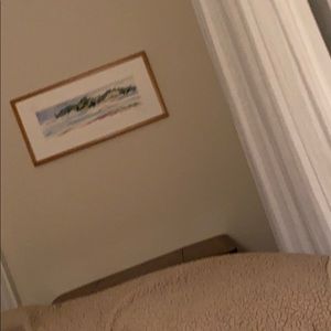 Meet your Posher, Burnham